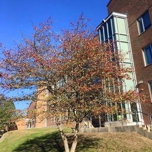 Meet your Posher, Juan